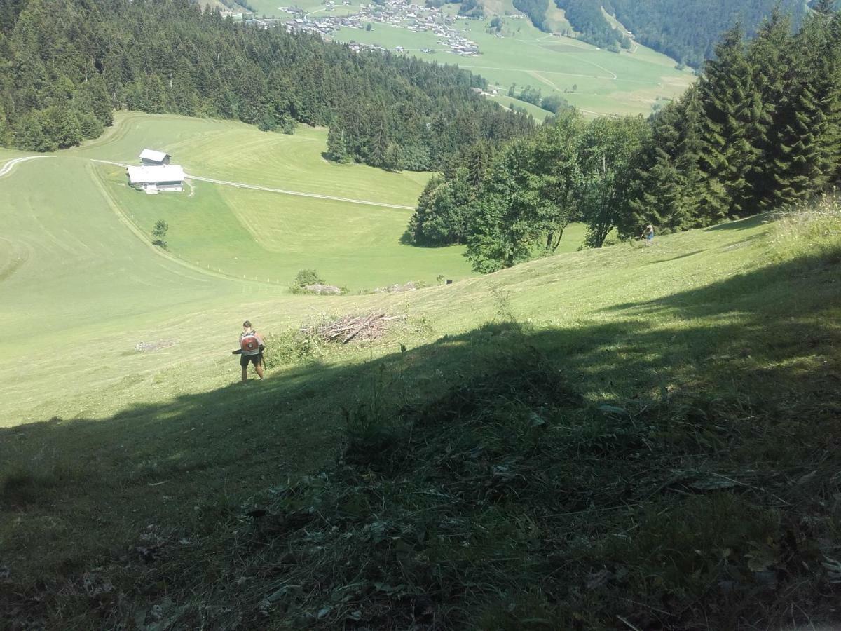 ビザウKirchdorf 300アパートメント エクステリア 写真